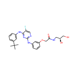CC(C)(C)c1cccc(Nc2nc(Nc3cccc(OCC(=O)NC[C@H](O)CO)c3)ncc2F)c1 ZINC000034607998