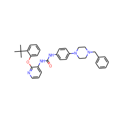 CC(C)(C)c1ccccc1Oc1ncccc1NC(=O)Nc1ccc(N2CCN(Cc3ccccc3)CC2)cc1 ZINC000096269950