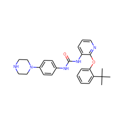 CC(C)(C)c1ccccc1Oc1ncccc1NC(=O)Nc1ccc(N2CCNCC2)cc1 ZINC000096269952