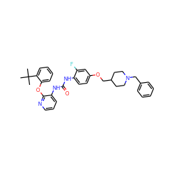 CC(C)(C)c1ccccc1Oc1ncccc1NC(=O)Nc1ccc(OCC2CCN(Cc3ccccc3)CC2)cc1F ZINC000096269942
