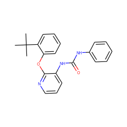 CC(C)(C)c1ccccc1Oc1ncccc1NC(=O)Nc1ccccc1 ZINC000096271733