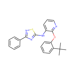 CC(C)(C)c1ccccc1Oc1ncccc1Nc1nc(-c2ccccc2)ns1 ZINC000096271731