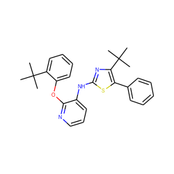 CC(C)(C)c1ccccc1Oc1ncccc1Nc1nc(C(C)(C)C)c(-c2ccccc2)s1 ZINC000096272817