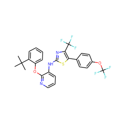 CC(C)(C)c1ccccc1Oc1ncccc1Nc1nc(C(F)(F)F)c(-c2ccc(OC(F)(F)F)cc2)s1 ZINC000096272803
