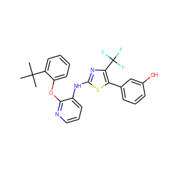 CC(C)(C)c1ccccc1Oc1ncccc1Nc1nc(C(F)(F)F)c(-c2cccc(O)c2)s1 ZINC000096272800