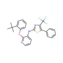 CC(C)(C)c1ccccc1Oc1ncccc1Nc1nc(C(F)(F)F)c(-c2ccccc2)s1 ZINC000096272816