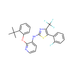 CC(C)(C)c1ccccc1Oc1ncccc1Nc1nc(C(F)(F)F)c(-c2ccccc2F)s1 ZINC000096272806