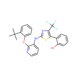 CC(C)(C)c1ccccc1Oc1ncccc1Nc1nc(C(F)(F)F)c(-c2ccccc2O)s1 ZINC000096272801