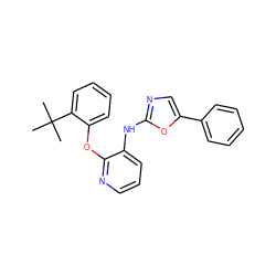 CC(C)(C)c1ccccc1Oc1ncccc1Nc1ncc(-c2ccccc2)o1 ZINC000096271732