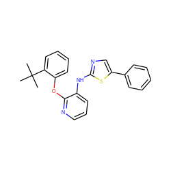 CC(C)(C)c1ccccc1Oc1ncccc1Nc1ncc(-c2ccccc2)s1 ZINC000096271735