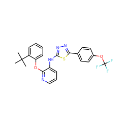 CC(C)(C)c1ccccc1Oc1ncccc1Nc1nnc(-c2ccc(OC(F)(F)F)cc2)s1 ZINC000096271719