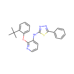 CC(C)(C)c1ccccc1Oc1ncccc1Nc1nnc(-c2ccccc2)s1 ZINC000038279834