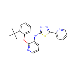 CC(C)(C)c1ccccc1Oc1ncccc1Nc1nnc(-c2ccccn2)s1 ZINC000096271712