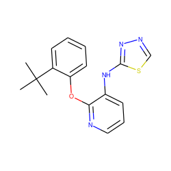 CC(C)(C)c1ccccc1Oc1ncccc1Nc1nncs1 ZINC000096271720
