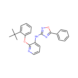 CC(C)(C)c1ccccc1Oc1ncccc1Nc1noc(-c2ccccc2)n1 ZINC000096271728