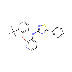 CC(C)(C)c1ccccc1Oc1ncccc1Nc1nsc(-c2ccccc2)n1 ZINC000096271730