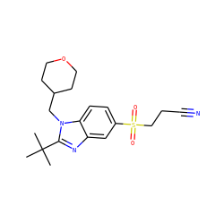CC(C)(C)c1nc2cc(S(=O)(=O)CCC#N)ccc2n1CC1CCOCC1 ZINC000029046549