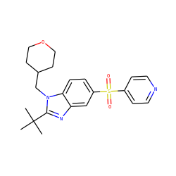 CC(C)(C)c1nc2cc(S(=O)(=O)c3ccncc3)ccc2n1CC1CCOCC1 ZINC000029048144