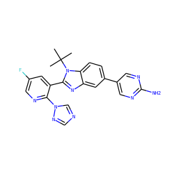CC(C)(C)n1c(-c2cc(F)cnc2-n2cncn2)nc2cc(-c3cnc(N)nc3)ccc21 ZINC000169703417