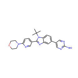 CC(C)(C)n1c(-c2ccc(N3CCOCC3)nc2)nc2cc(-c3cnc(N)nc3)ccc21 ZINC000169703418