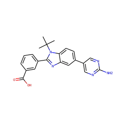CC(C)(C)n1c(-c2cccc(C(=O)O)c2)nc2cc(-c3cnc(N)nc3)ccc21 ZINC000144123661