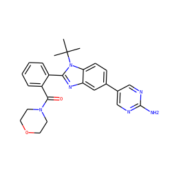 CC(C)(C)n1c(-c2ccccc2C(=O)N2CCOCC2)nc2cc(-c3cnc(N)nc3)ccc21 ZINC000146729405