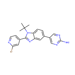 CC(C)(C)n1c(-c2ccnc(Br)c2)nc2cc(-c3cnc(N)nc3)ccc21 ZINC000169703415