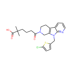 CC(C)(CCCC(=O)N1CCc2c(n(Cc3ccc(Cl)s3)c3ncccc23)C1)C(=O)O ZINC000218173454