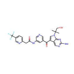 CC(C)(CO)n1cc(C(=O)c2cncc(NC(=O)Cc3ccc(C(F)(F)F)cn3)c2)c2cnc(N)nc21 ZINC000169708066