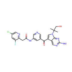 CC(C)(CO)n1cc(C(=O)c2cncc(NC(=O)Cc3ncc(Cl)cc3F)c2)c2cnc(N)nc21 ZINC000169708065