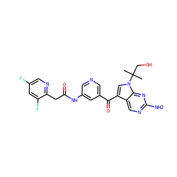 CC(C)(CO)n1cc(C(=O)c2cncc(NC(=O)Cc3ncc(F)cc3F)c2)c2cnc(N)nc21 ZINC000169708061