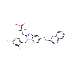 CC(C)(Cc1nc2cc(OCc3ccc4ccccc4n3)ccc2n1Cc1ccc(Cl)cc1Cl)C(=O)O ZINC000219363390