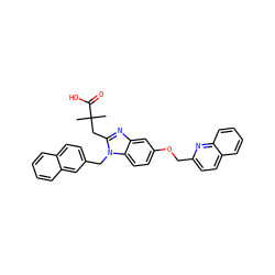 CC(C)(Cc1nc2cc(OCc3ccc4ccccc4n3)ccc2n1Cc1ccc2ccccc2c1)C(=O)O ZINC000219448352
