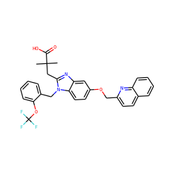 CC(C)(Cc1nc2cc(OCc3ccc4ccccc4n3)ccc2n1Cc1ccccc1OC(F)(F)F)C(=O)O ZINC000219379724
