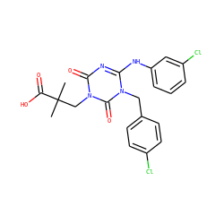 CC(C)(Cn1c(=O)nc(Nc2cccc(Cl)c2)n(Cc2ccc(Cl)cc2)c1=O)C(=O)O ZINC000200505804