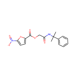 CC(C)(NC(=O)COC(=O)c1ccc([N+](=O)[O-])o1)c1ccccc1 ZINC000066156806