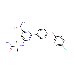 CC(C)(Nc1cc(C(N)=O)nc(-c2ccc(Oc3ccc(F)cc3)cc2)n1)C(N)=O ZINC000142465506