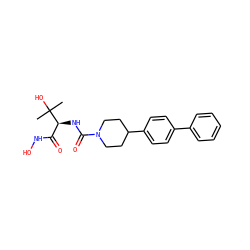CC(C)(O)[C@@H](NC(=O)N1CCC(c2ccc(-c3ccccc3)cc2)CC1)C(=O)NO ZINC000066078984