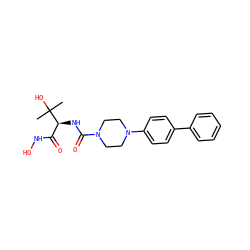 CC(C)(O)[C@@H](NC(=O)N1CCN(c2ccc(-c3ccccc3)cc2)CC1)C(=O)NO ZINC000066078986