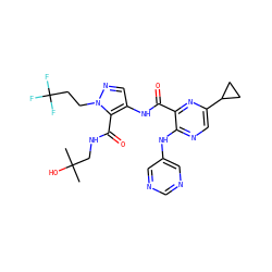 CC(C)(O)CNC(=O)c1c(NC(=O)c2nc(C3CC3)cnc2Nc2cncnc2)cnn1CCC(F)(F)F ZINC000169701793