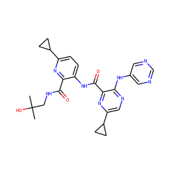 CC(C)(O)CNC(=O)c1nc(C2CC2)ccc1NC(=O)c1nc(C2CC2)cnc1Nc1cncnc1 ZINC000169701779