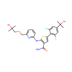 CC(C)(O)COCc1cccc(Nc2sc(-c3c(F)cc(C(C)(C)O)cc3F)cc2C(N)=O)n1 ZINC000139277897