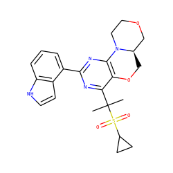 CC(C)(c1nc(-c2cccc3[nH]ccc23)nc2c1OC[C@@H]1COCCN21)S(=O)(=O)C1CC1 ZINC000218140818