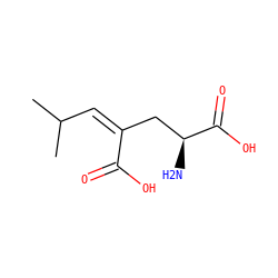 CC(C)/C=C(/C[C@H](N)C(=O)O)C(=O)O ZINC000029484299