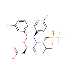CC(C)[C@@H](CS(=O)(=O)C(C)(C)C)N1C(=O)[C@@H](CC(=O)O)O[C@H](c2cccc(Cl)c2)[C@H]1c1ccc(Cl)cc1 ZINC000142306380