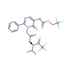 CC(C)[C@@H](NC(=O)Cn1c(-c2ccccc2)ncc(NC(=O)OCC(F)(F)F)c1=O)C(=O)C(F)(F)F ZINC000003842971