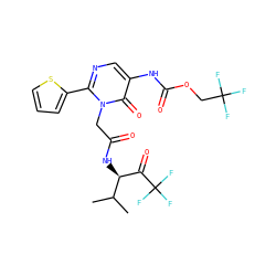 CC(C)[C@@H](NC(=O)Cn1c(-c2cccs2)ncc(NC(=O)OCC(F)(F)F)c1=O)C(=O)C(F)(F)F ZINC000003842972
