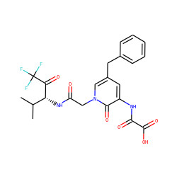 CC(C)[C@@H](NC(=O)Cn1cc(Cc2ccccc2)cc(NC(=O)C(=O)O)c1=O)C(=O)C(F)(F)F ZINC000013738576
