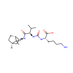 CC(C)[C@@H](NC(=O)N[C@@H](CCCCN)C(=O)O)C(=O)N[C@H]1C[C@@]2(C)CC[C@H]1C2(C)C ZINC000473136957