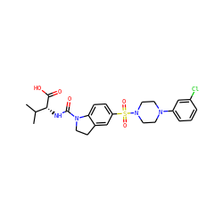 CC(C)[C@@H](NC(=O)N1CCc2cc(S(=O)(=O)N3CCN(c4cccc(Cl)c4)CC3)ccc21)C(=O)O ZINC000118533574